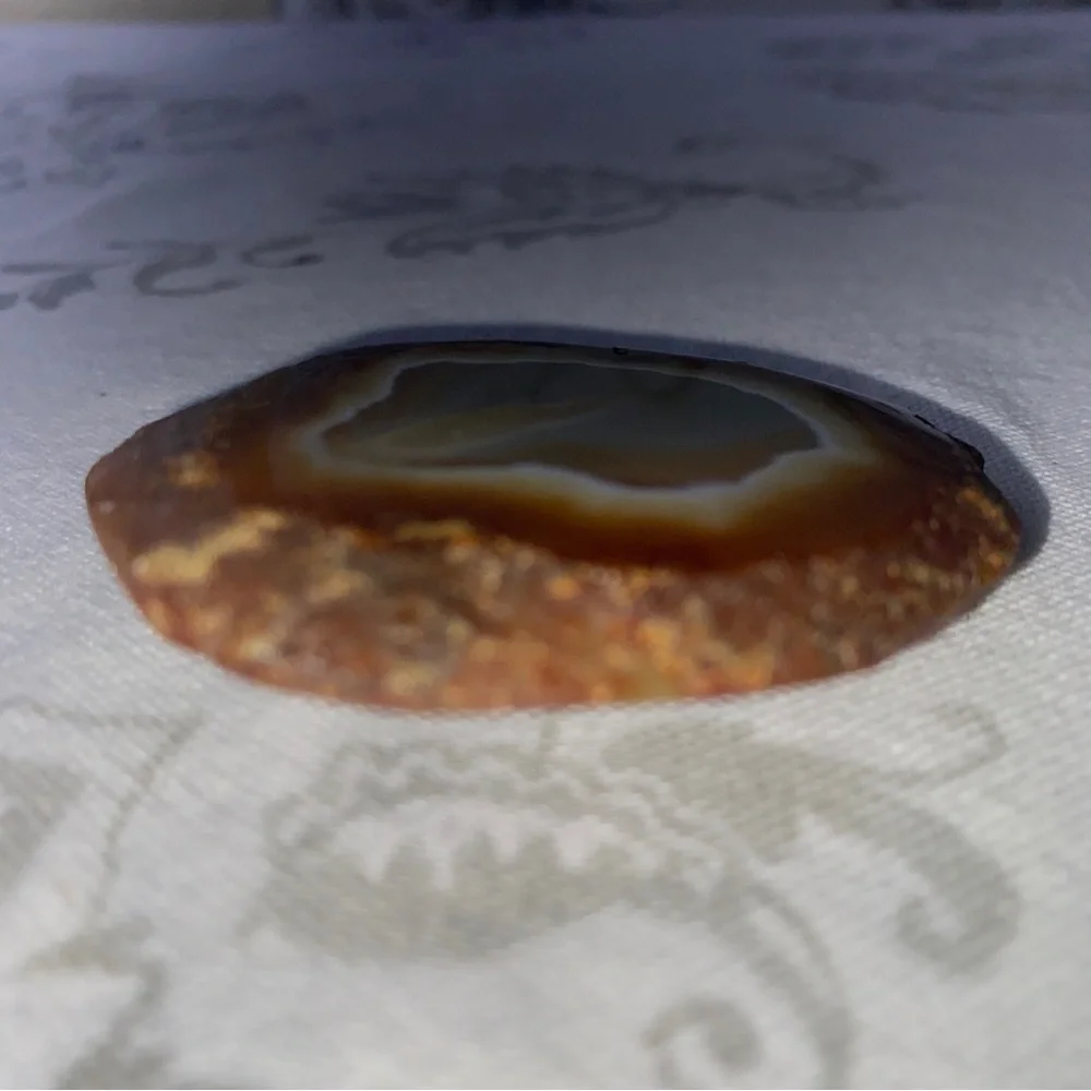 Vintage Agate slice Belt Buckle by Gunther Lapidary Western Cowboy Rodeo‎